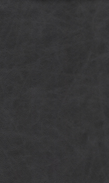 Night Sky Leather