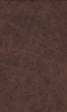 Rum Leather