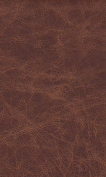 Whiskey Leather
