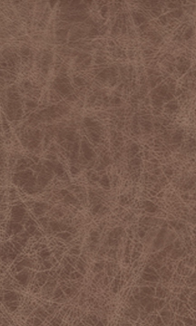 Tumbleweed Leather