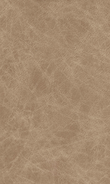 Vanilla Leather
