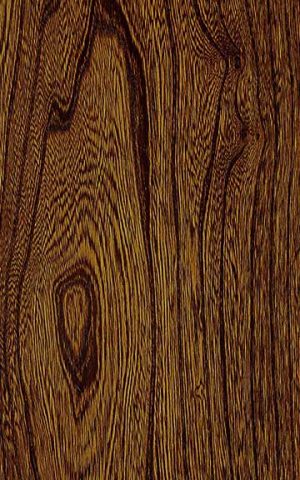 GREY ELM