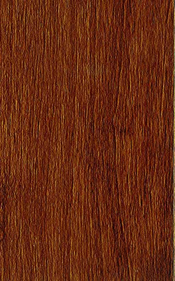 Hard Maple Wood Stain Options