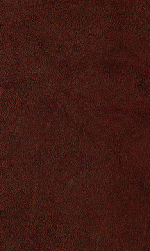 Pecan Leather