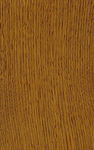 Rustic Quartersawn White Oak - Autumn-Leaf