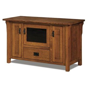 Camden Mission Plasma Stand