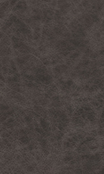 Grey Leather