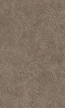 Mushroom Leather